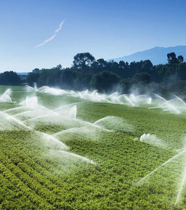 Irrigation Scheduling